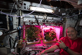 Leben an Bord der ISS