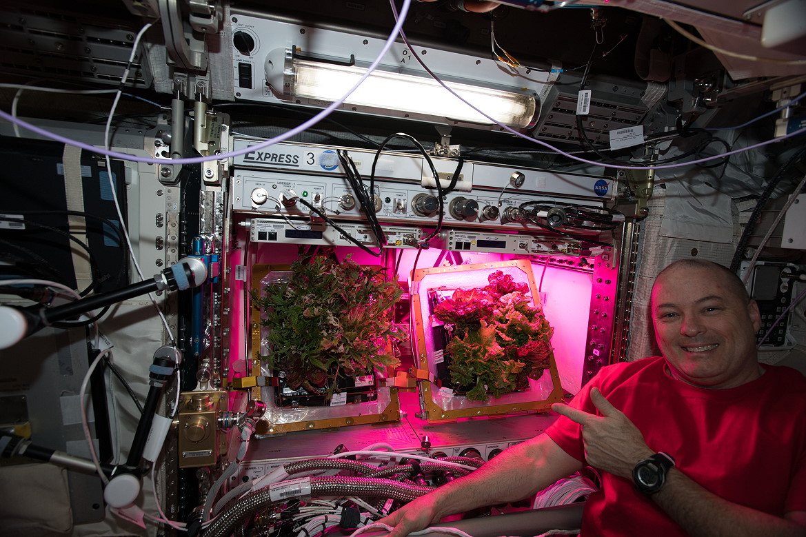 life onboard ISS