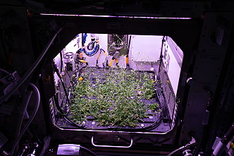 Plant habitat Plant habitat