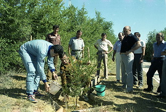 traditionelle Baumpflanzung in Baikonur