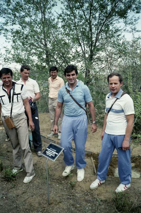 traidional tree plant in Baikonur