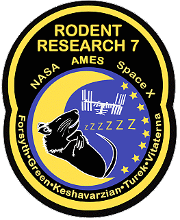 Logo Rodent Research VII Logo Rodent Research VII