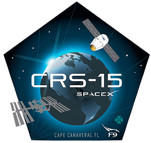 Patch Dragon SpX-15 (SpaceX version) Patch Dragon SpX-15 (SpaceX version)
