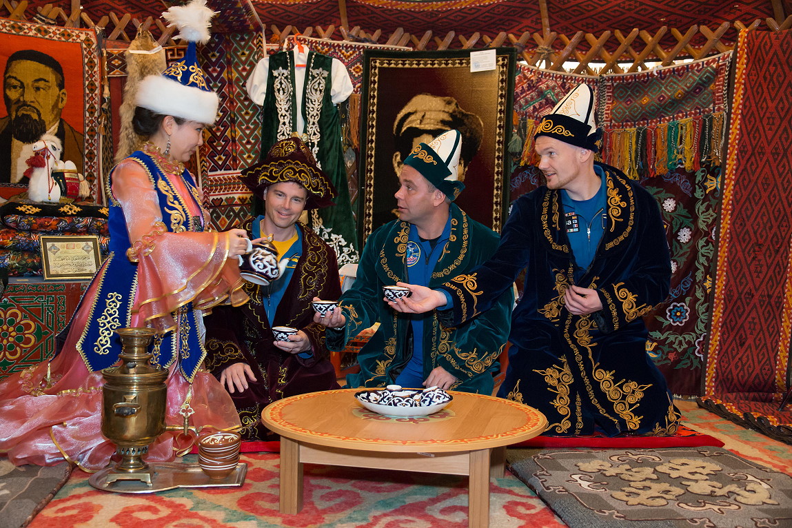 Crew Soyuz TMA-11M backup