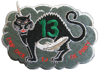 Patch STS-41C Black Cat