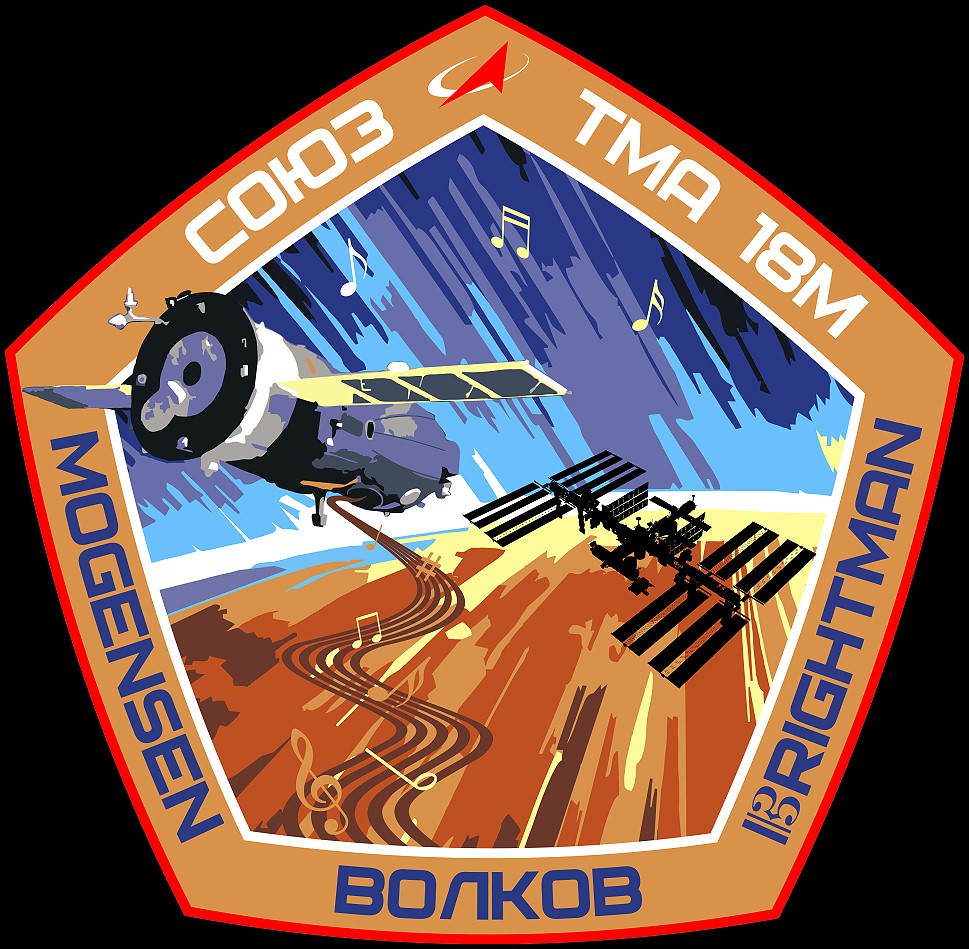 Patch: Soyuz TMA-18M (original)