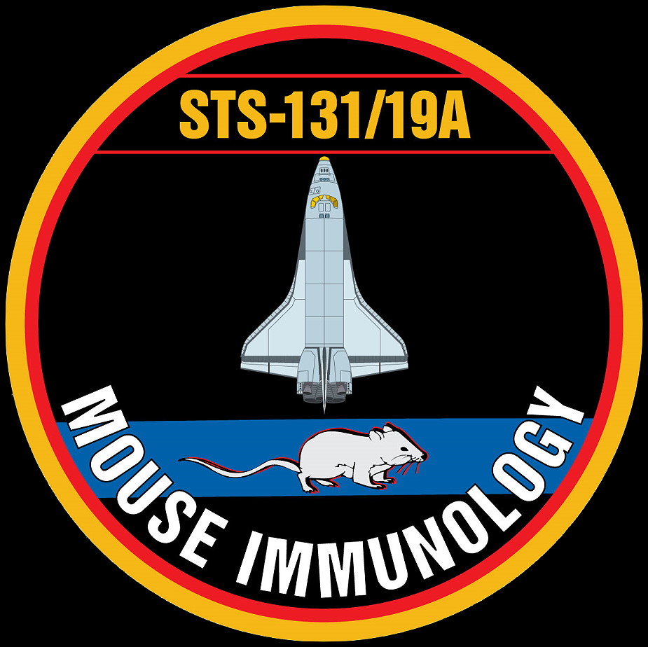 STS-131 Mouse patch