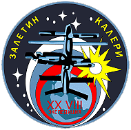 Patch Mir-28